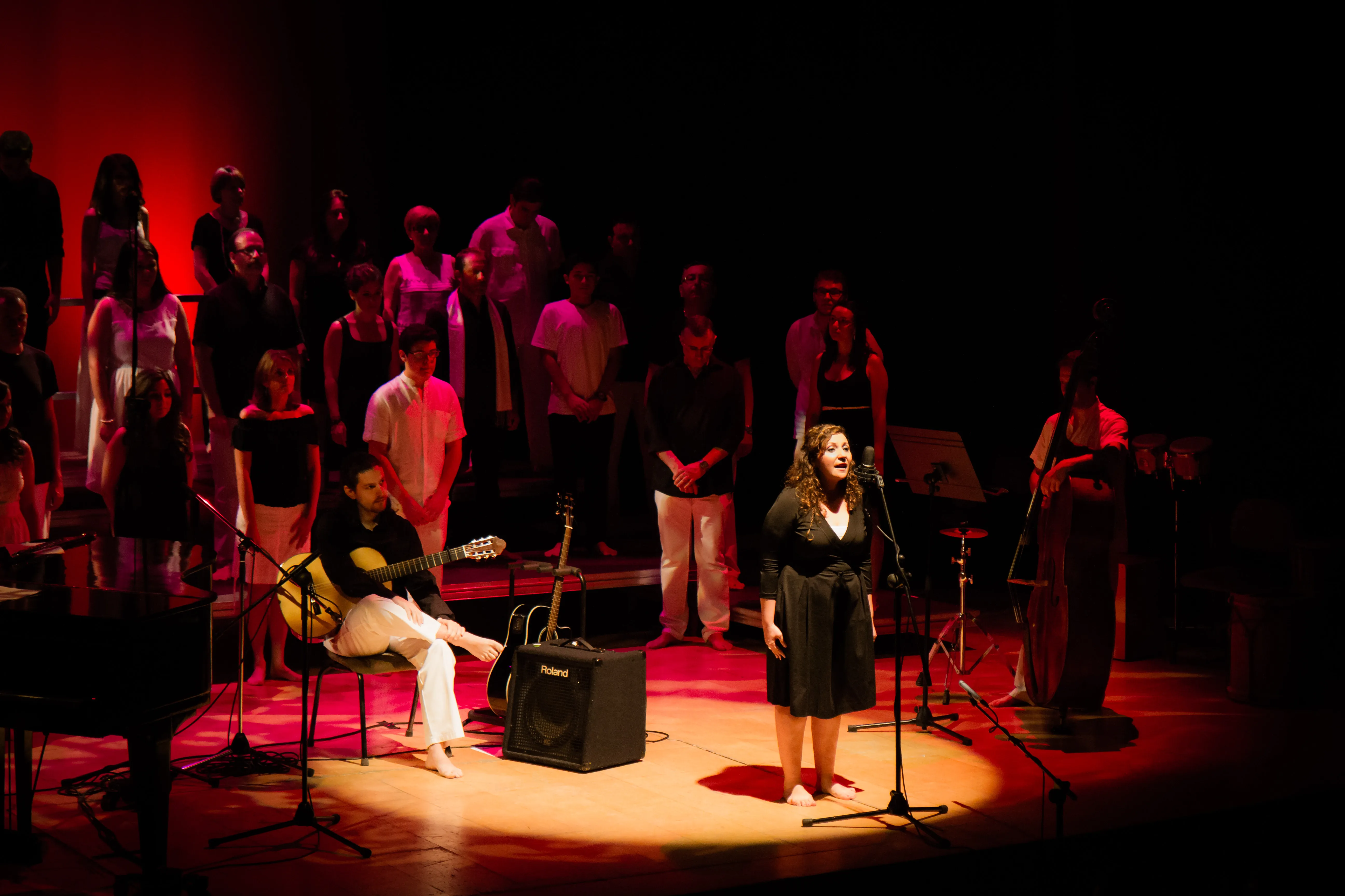 Cantautor: La veu, el missatge · 2013
